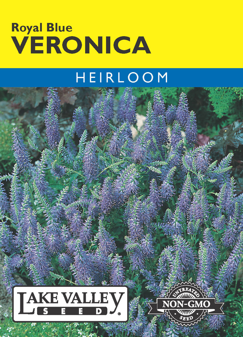 Veronica