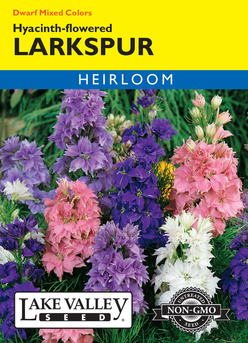 Larkspur