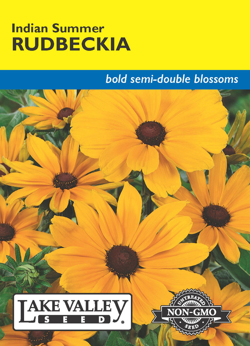 Rudbeckia