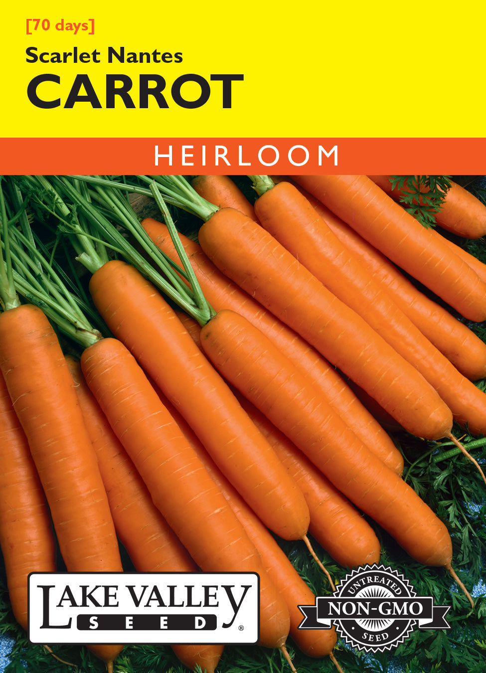 Carrot