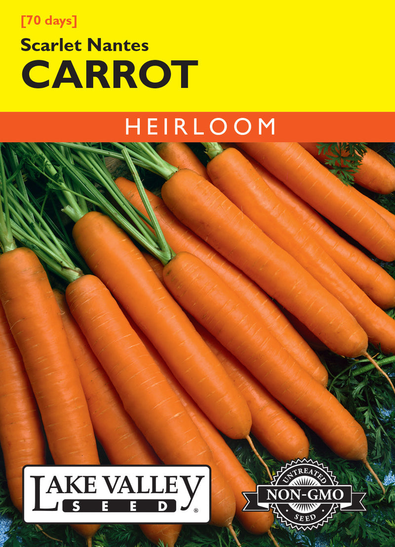 Carrot