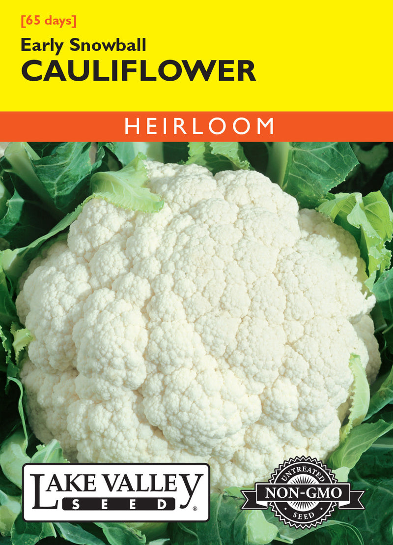 Cauliflower
