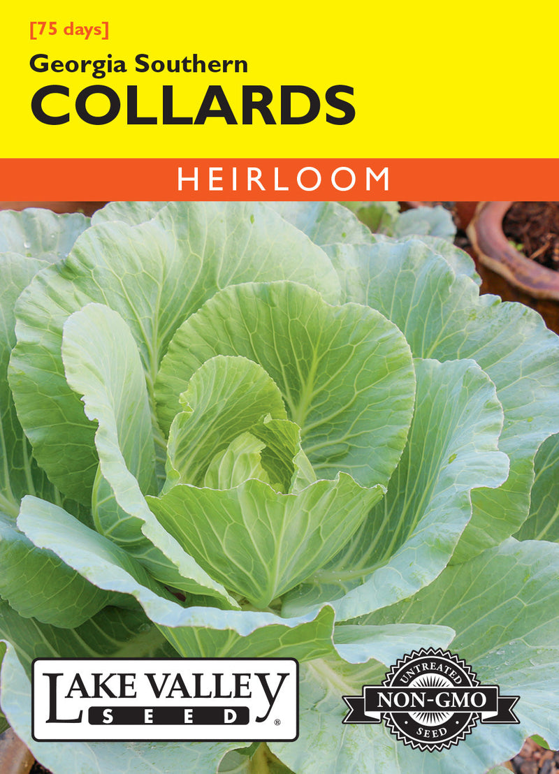 Collards