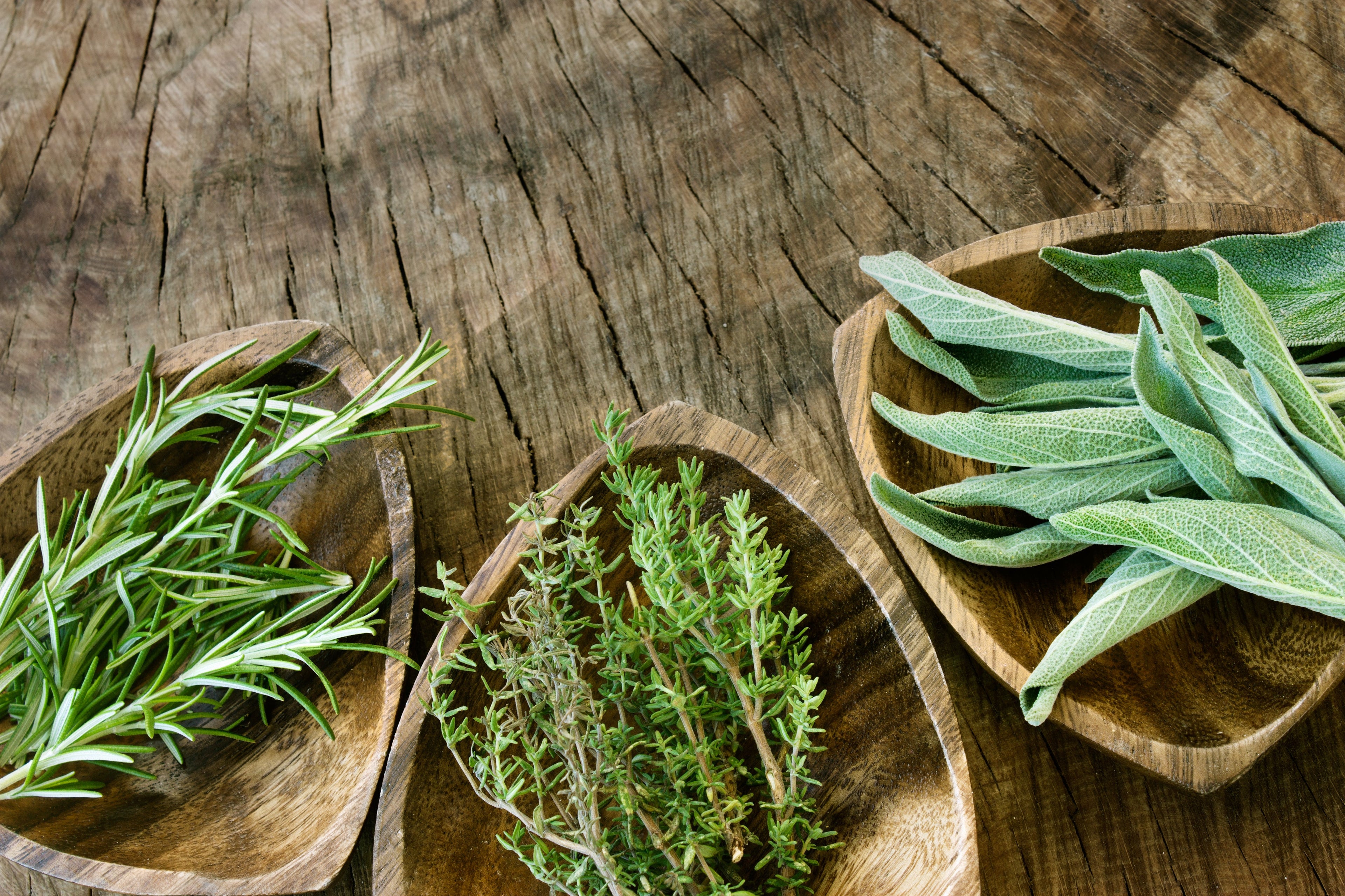 Organic Herbs