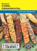 Corn Ornamental Rainbow - Item #105