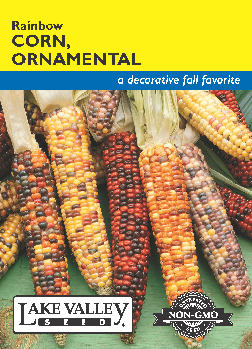 Corn Ornamental Rainbow - Item #105