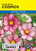 Cosmos Candy Stripe - Item #109