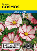 Cosmos Picotee - Item #111