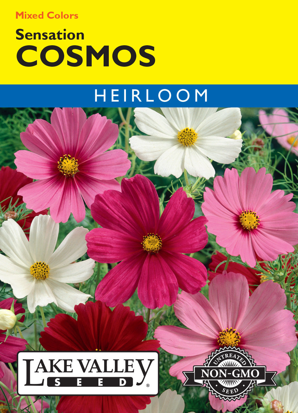 Cosmos Sensation Mixed Colors - Item #113