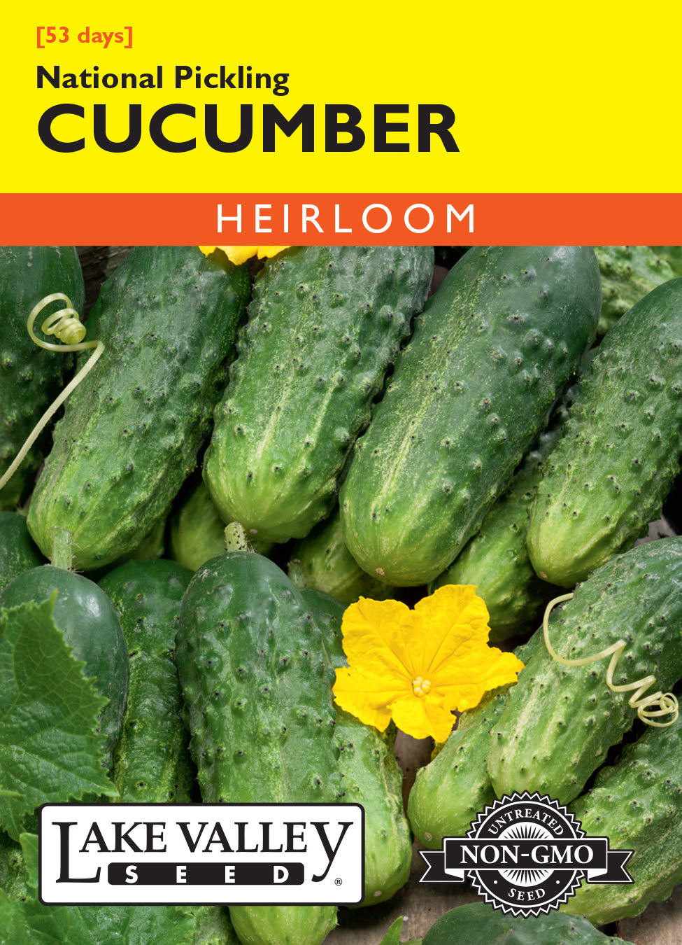 Cucumber National Pickling - Item #119