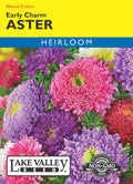 Aster Early Charm Mixed Colors - Item #12