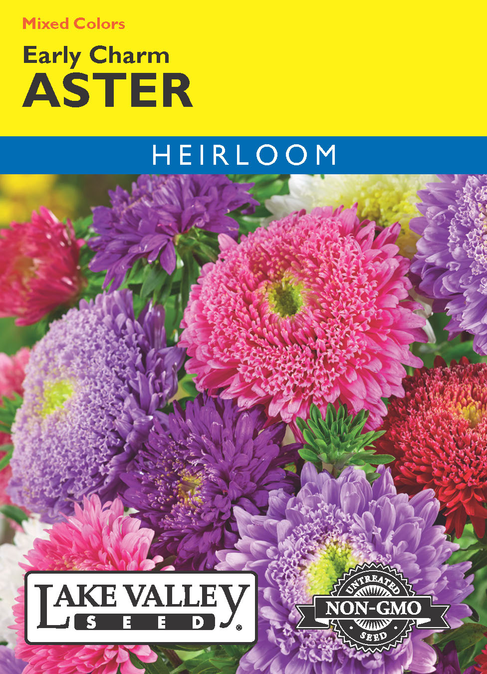 Aster Early Charm Mixed Colors - Item #12