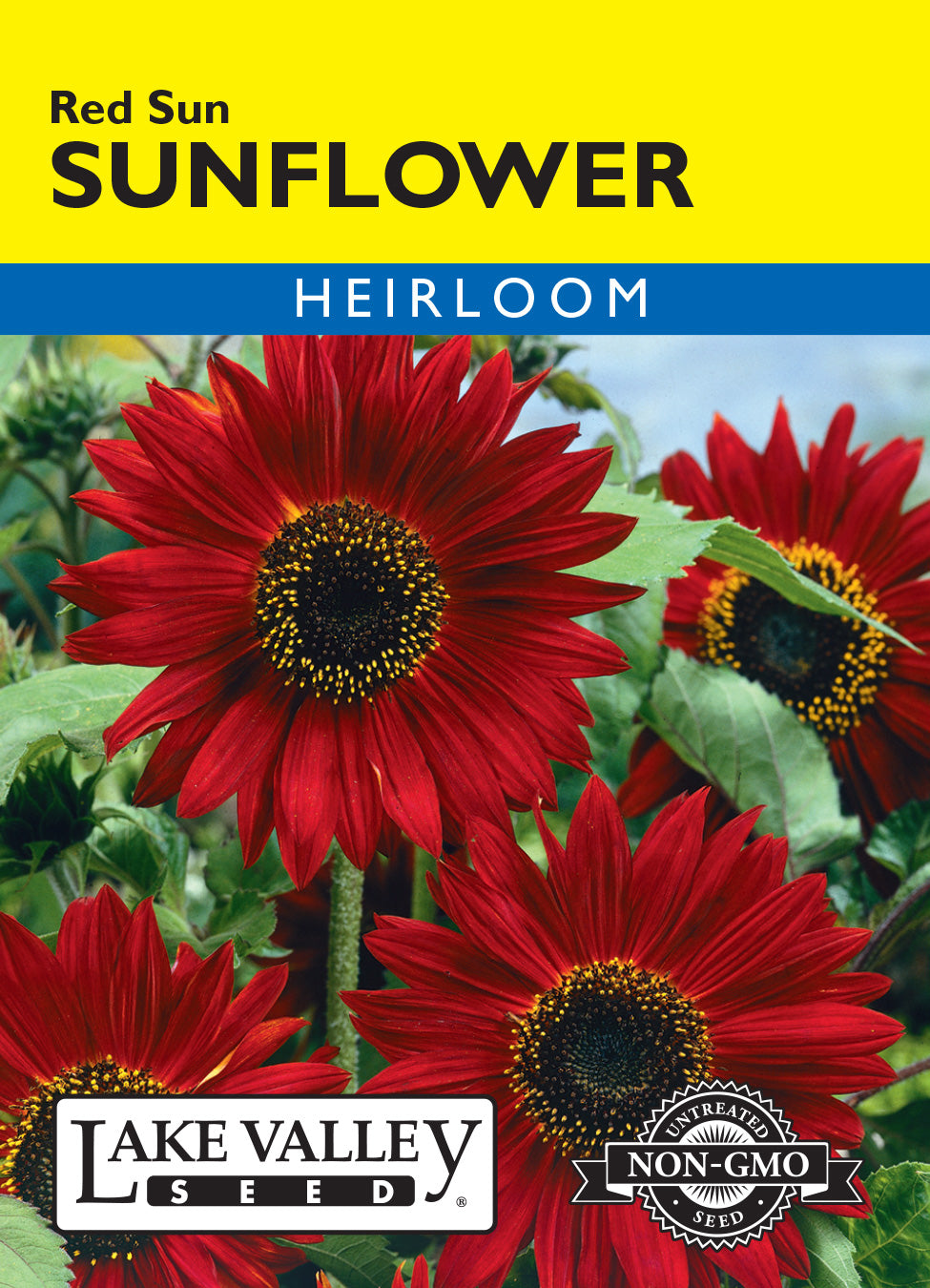 Sunflower Red Sun - Item #1212