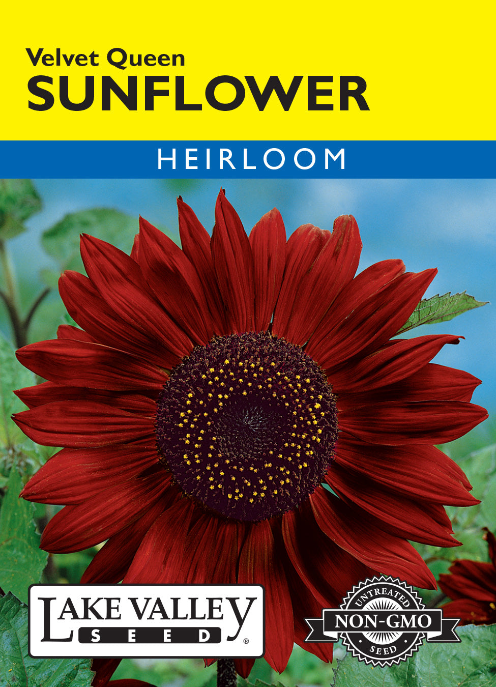 Sunflower Velvet Queen Red - Item #1215