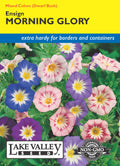 Morning Glory Ensign Mixed Colors - Item #1243