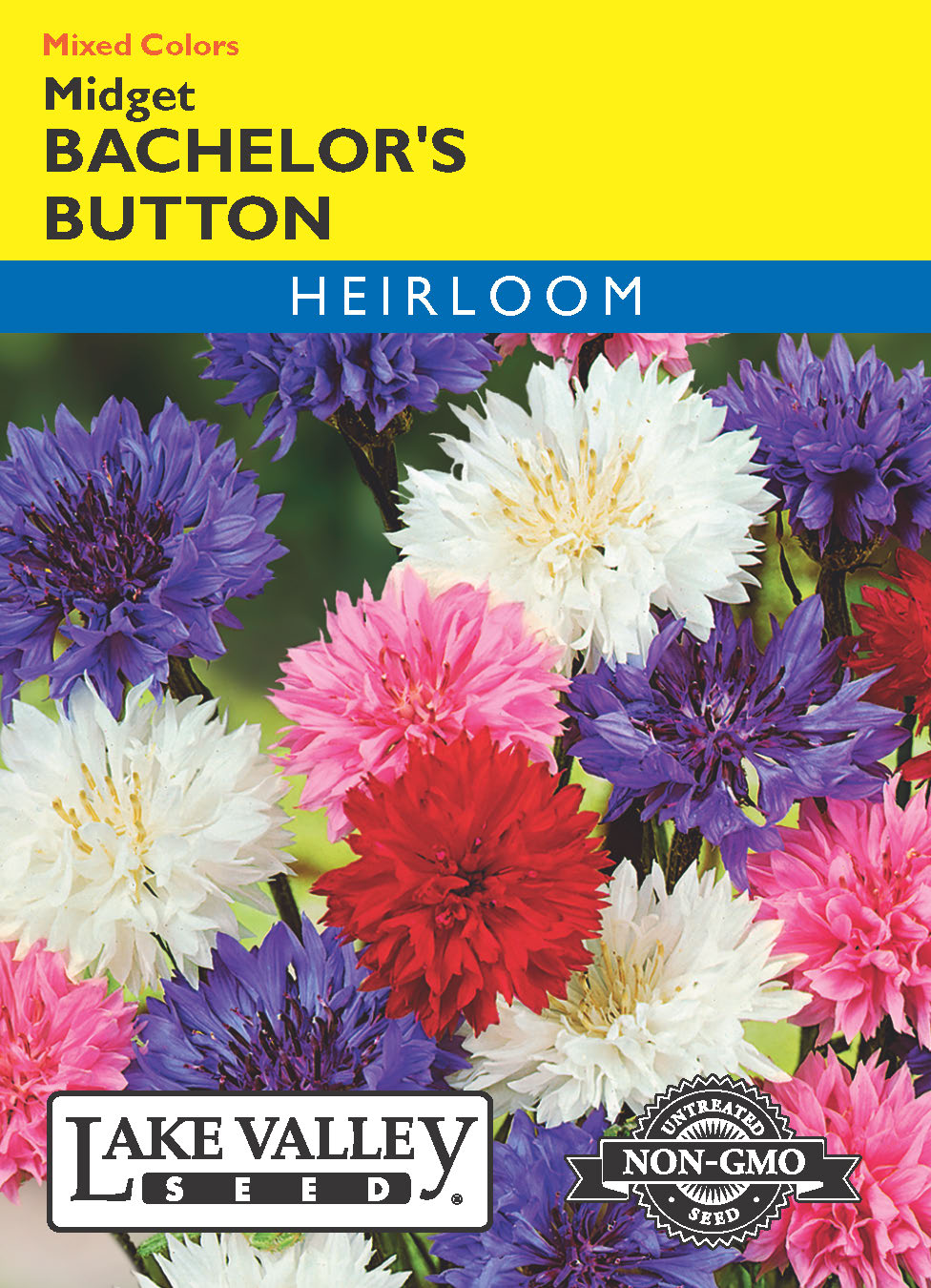 Bachelor's Button Midget Mixed Colors - Item #1244