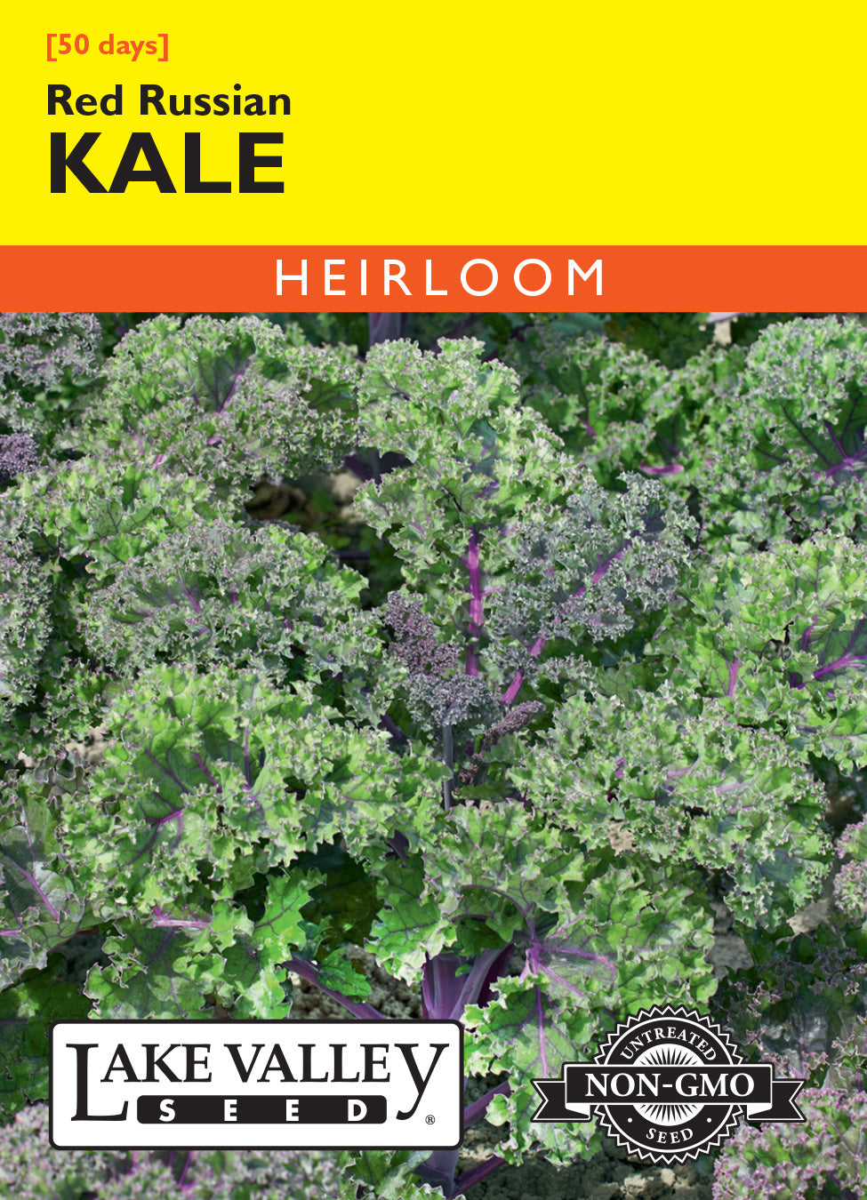Kale Red Russian - Item #1248