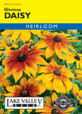 Daisy Gloriosa Mixed Colors - Item #127