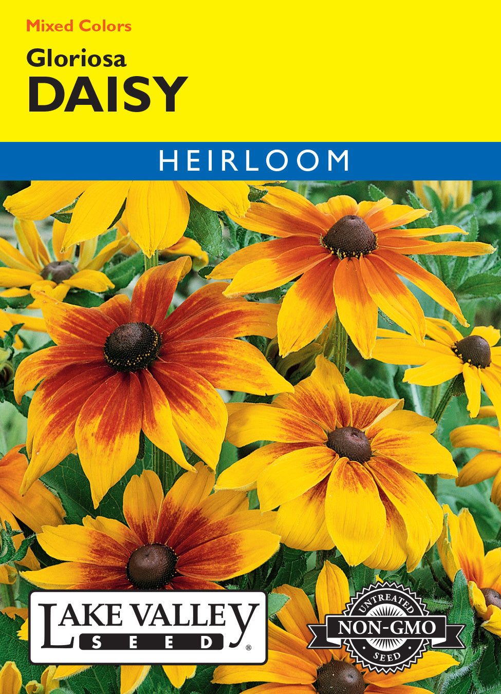 Daisy Gloriosa Mixed Colors - Item #127