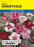 Dianthus Gaiety Mixed Colors - Item #131