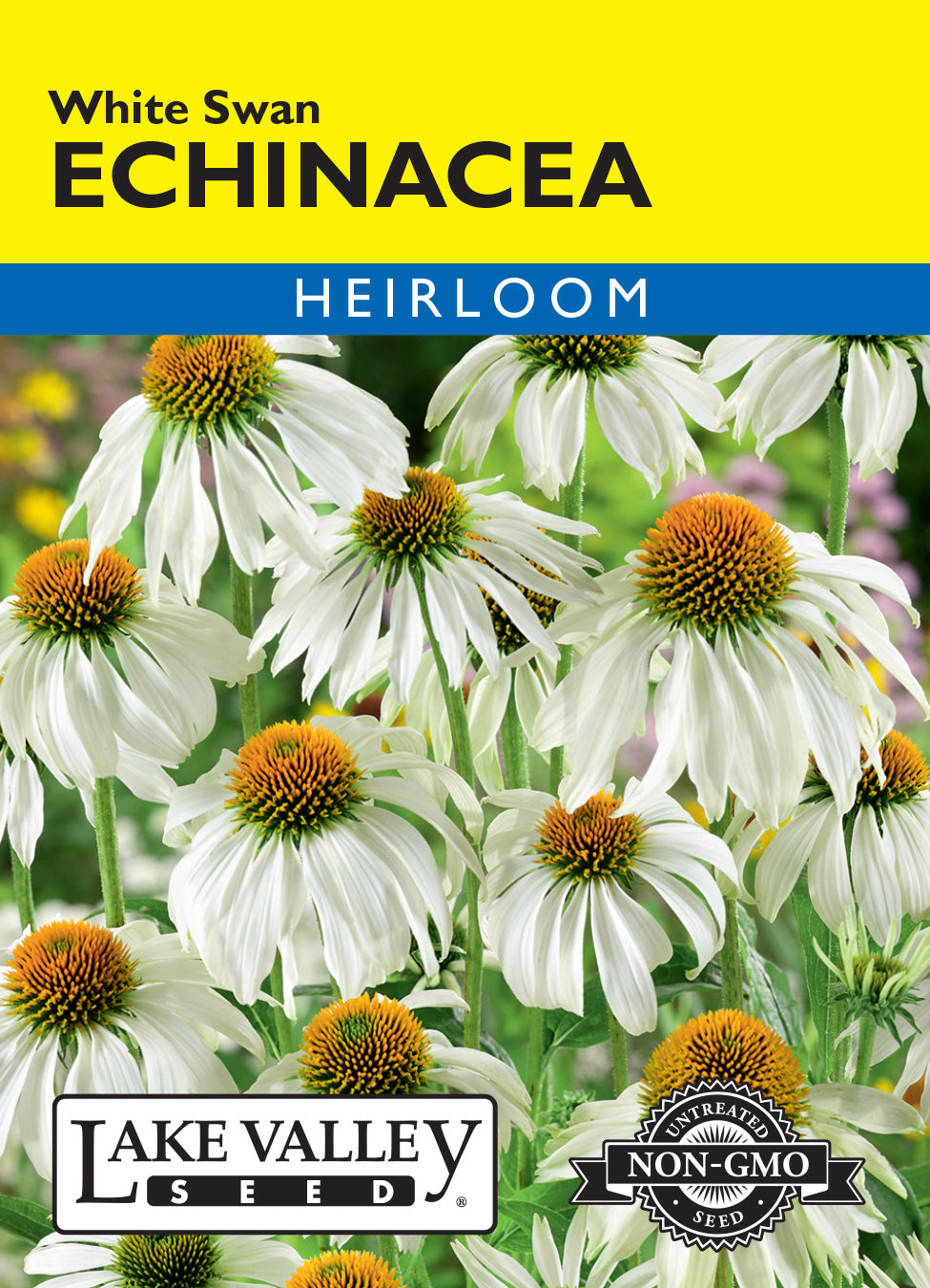 Echinacea White Swan - Item #136