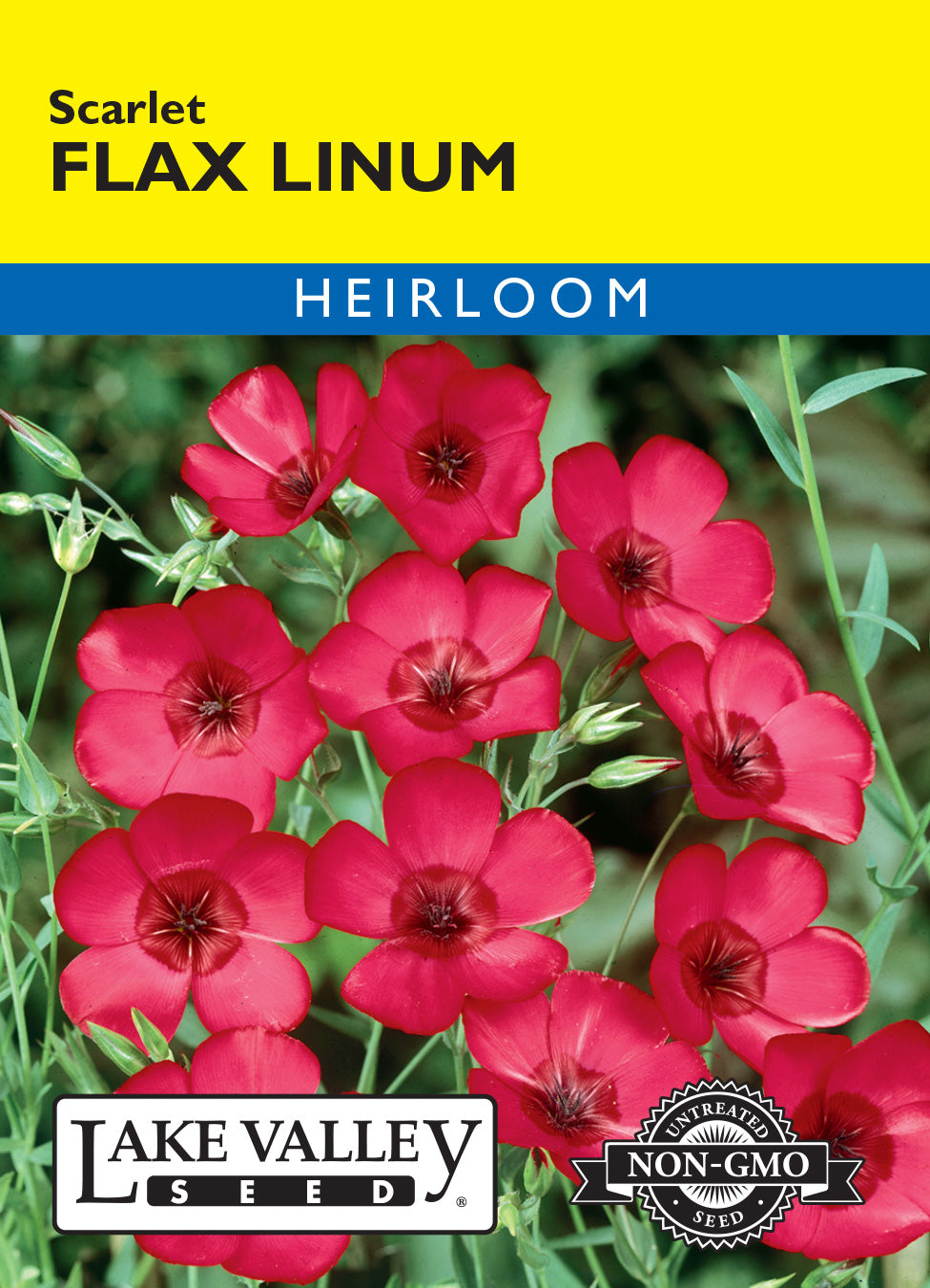 Flax Linum Scarlet - Item #146