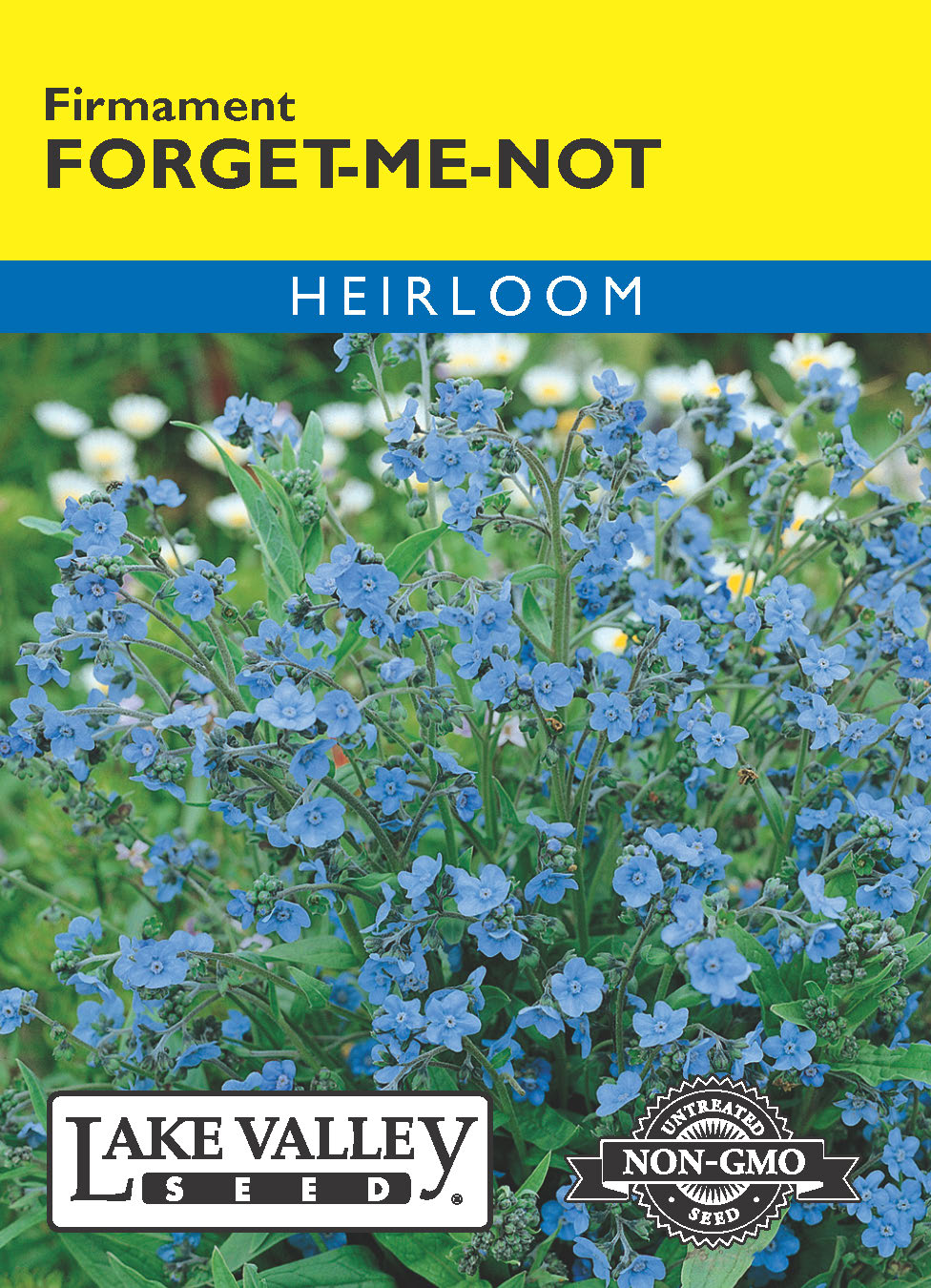 Forget-Me-Not Firmament - Item #148