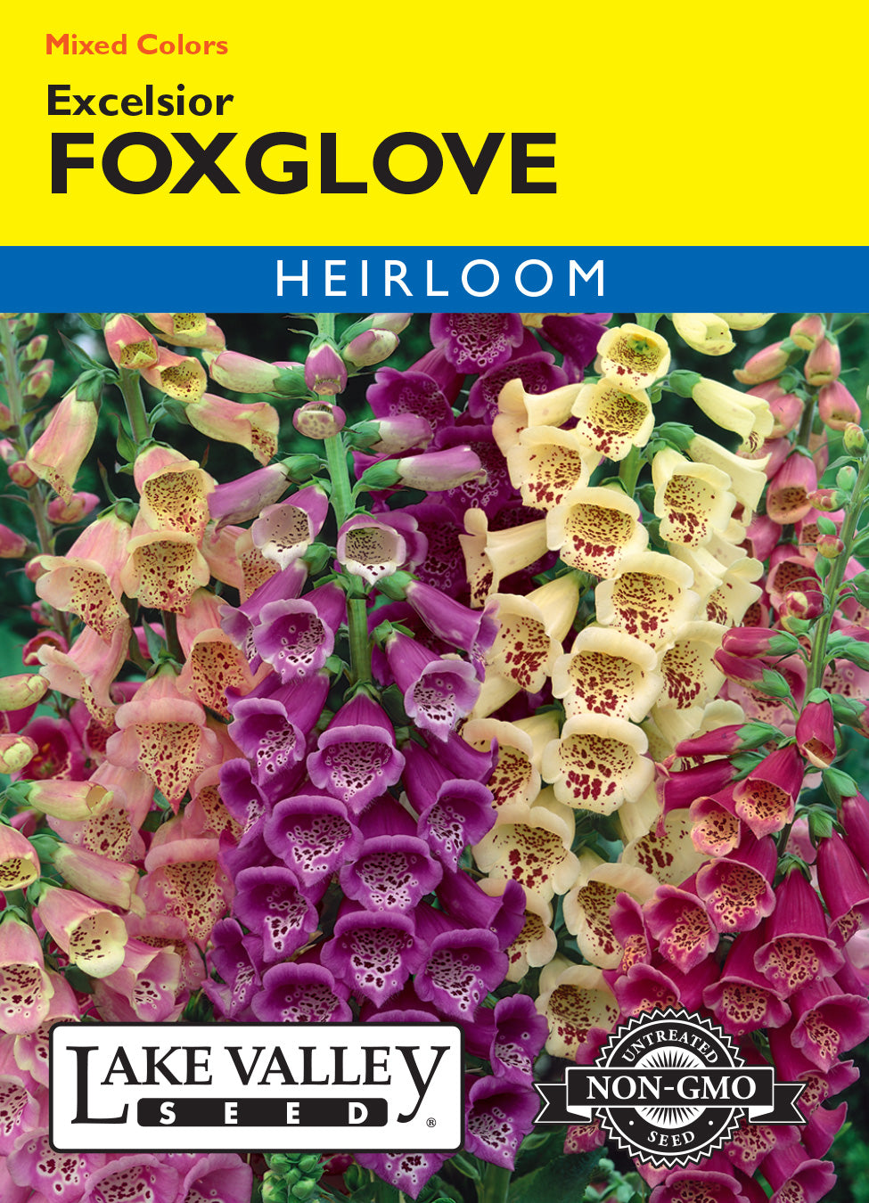 Foxglove Excelsior Mixed Colors - Item #150