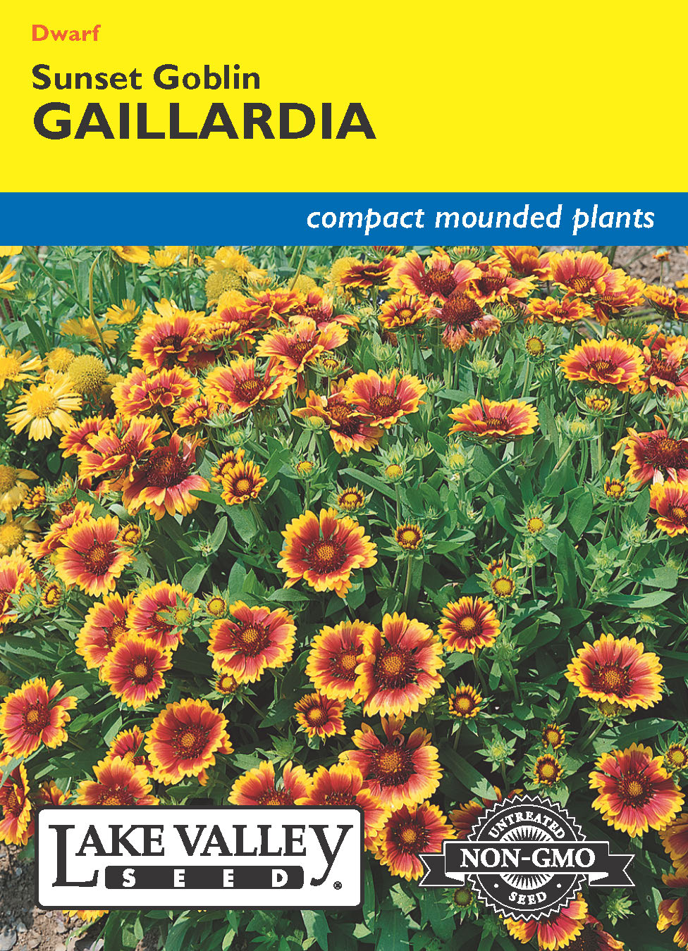 Gaillardia Sunset Goblin - Item #151