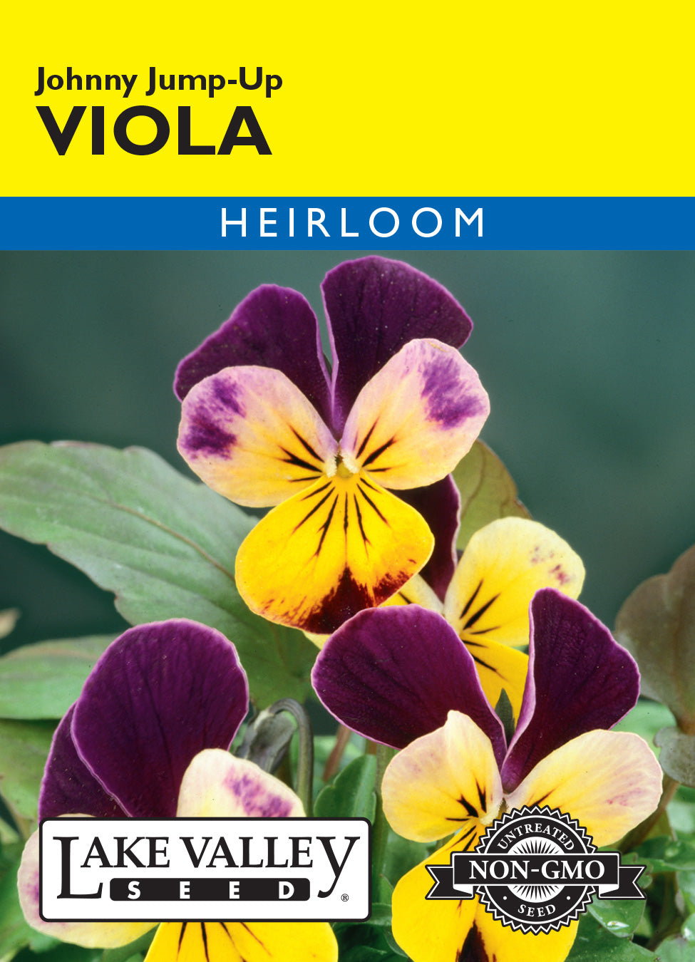 Viola Johnny Jump-Up - Item #161