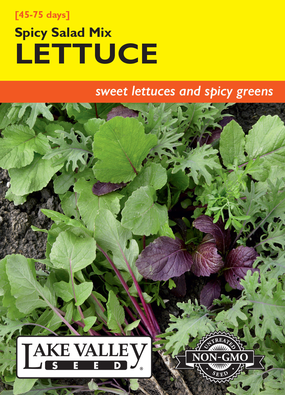 Lettuce Spicy Salad Mix - Item #1677