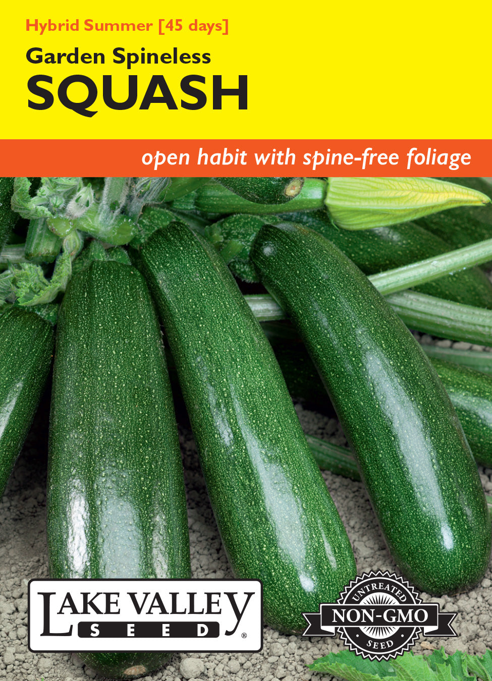Squash (Summer) Garden Spineless Hybrid - Item #1690