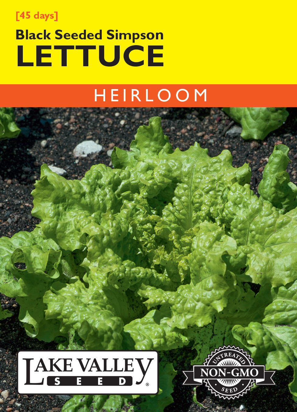 Lettuce Black Seeded Simpson - Item #171