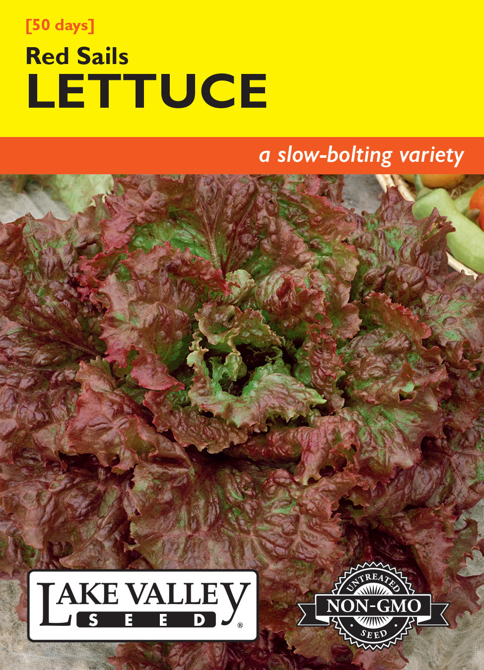 Lettuce Red Sails - Item #175