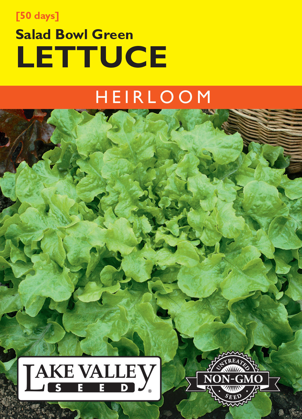 Lettuce Salad Bowl Green - Item #176