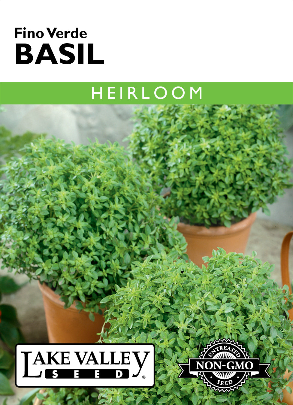 Basil Fino Verde - Item #18