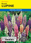 Lupine Russell Mixed Colors - Item #182