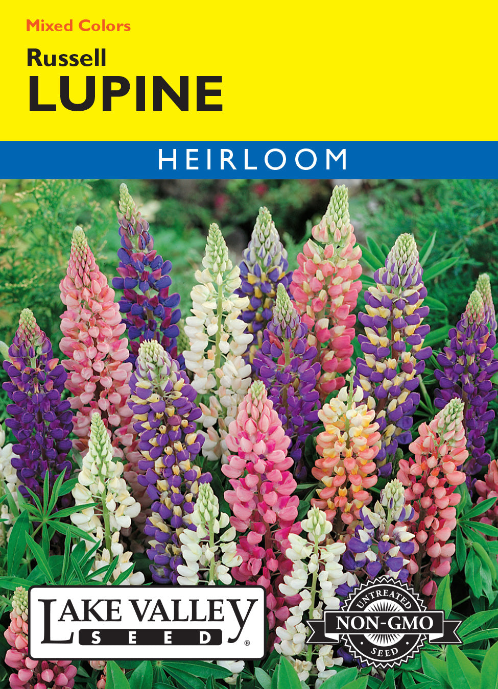 Lupine Russell Mixed Colors - Item #182