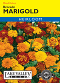 Marigold Brocade Mixed Colors - Item #183