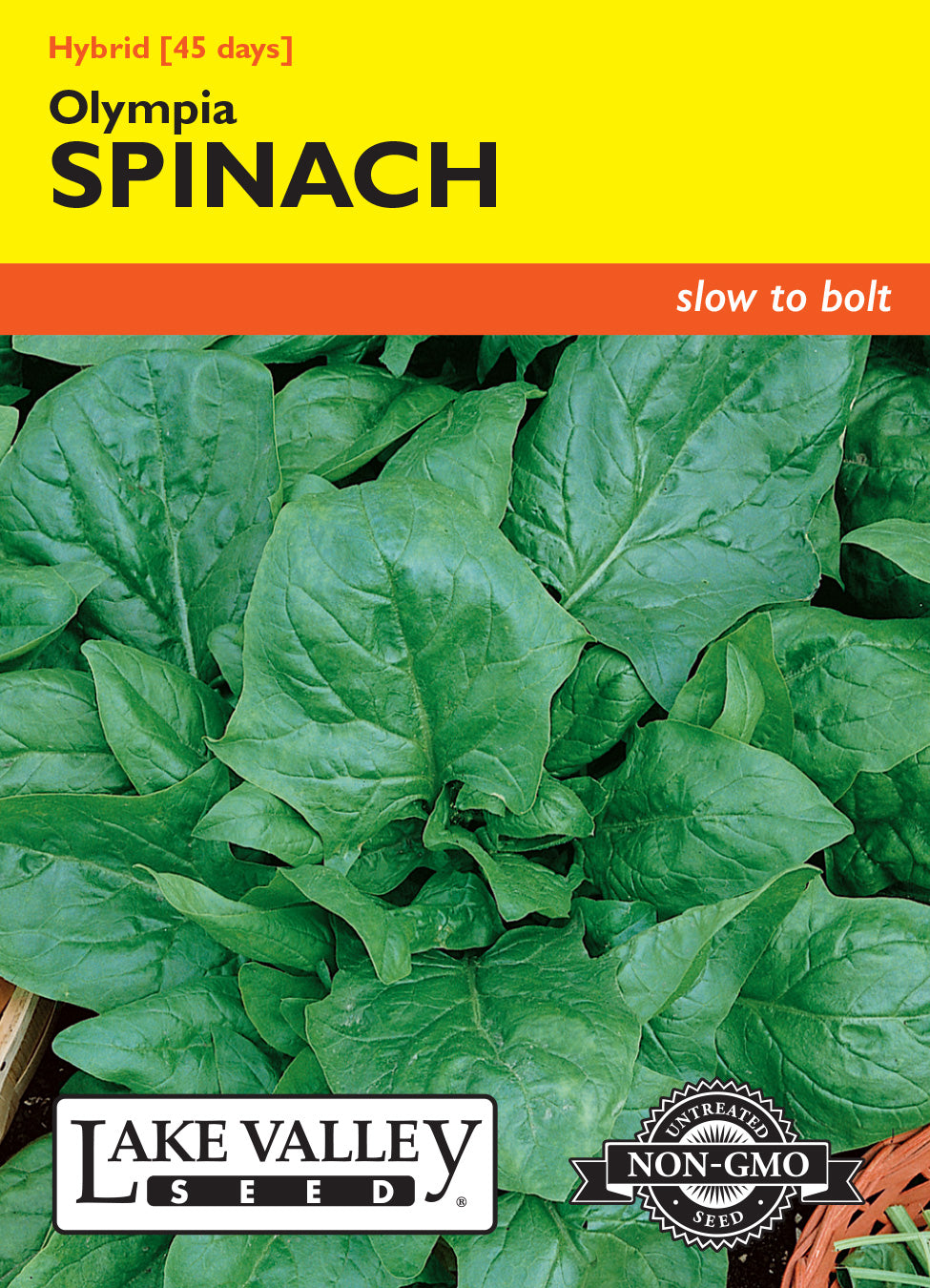 Spinach Olympia Hybrid - Item #1836
