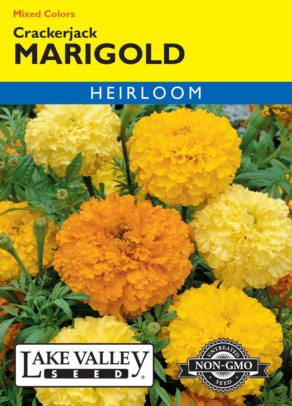 Marigold Crackerjack Mixed Colors - Item #184