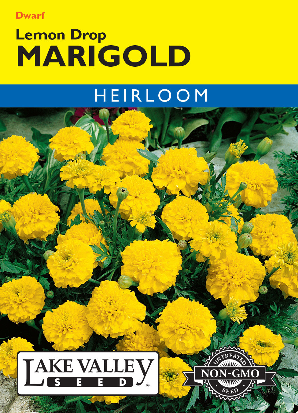 Marigold Lemon Drop - Item #185