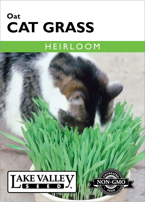 Cat Grass Oat - Item #1854
