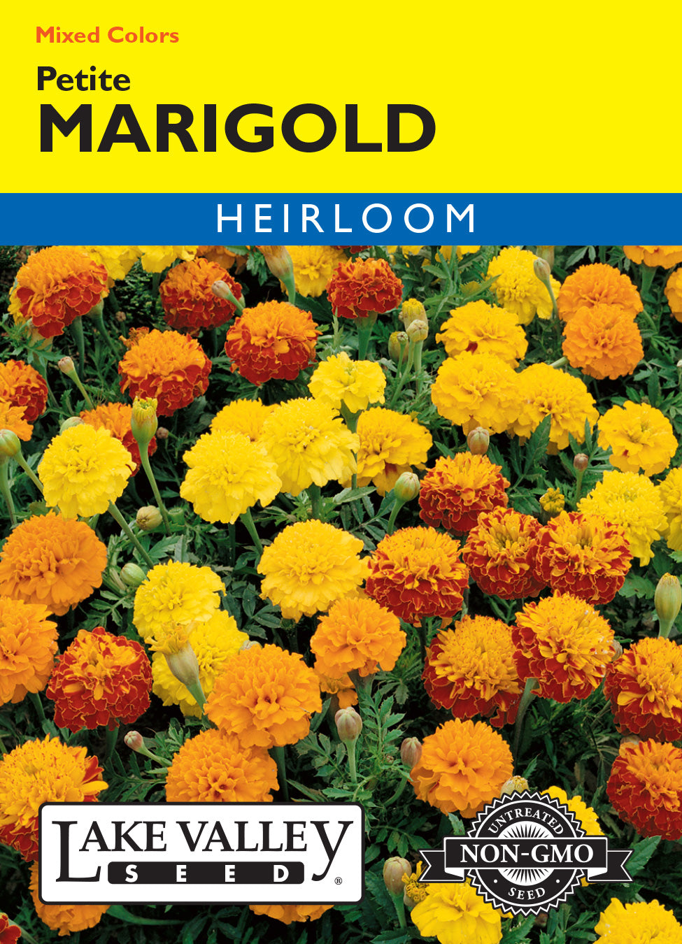 Marigold Petite Mixed Colors - Item #187