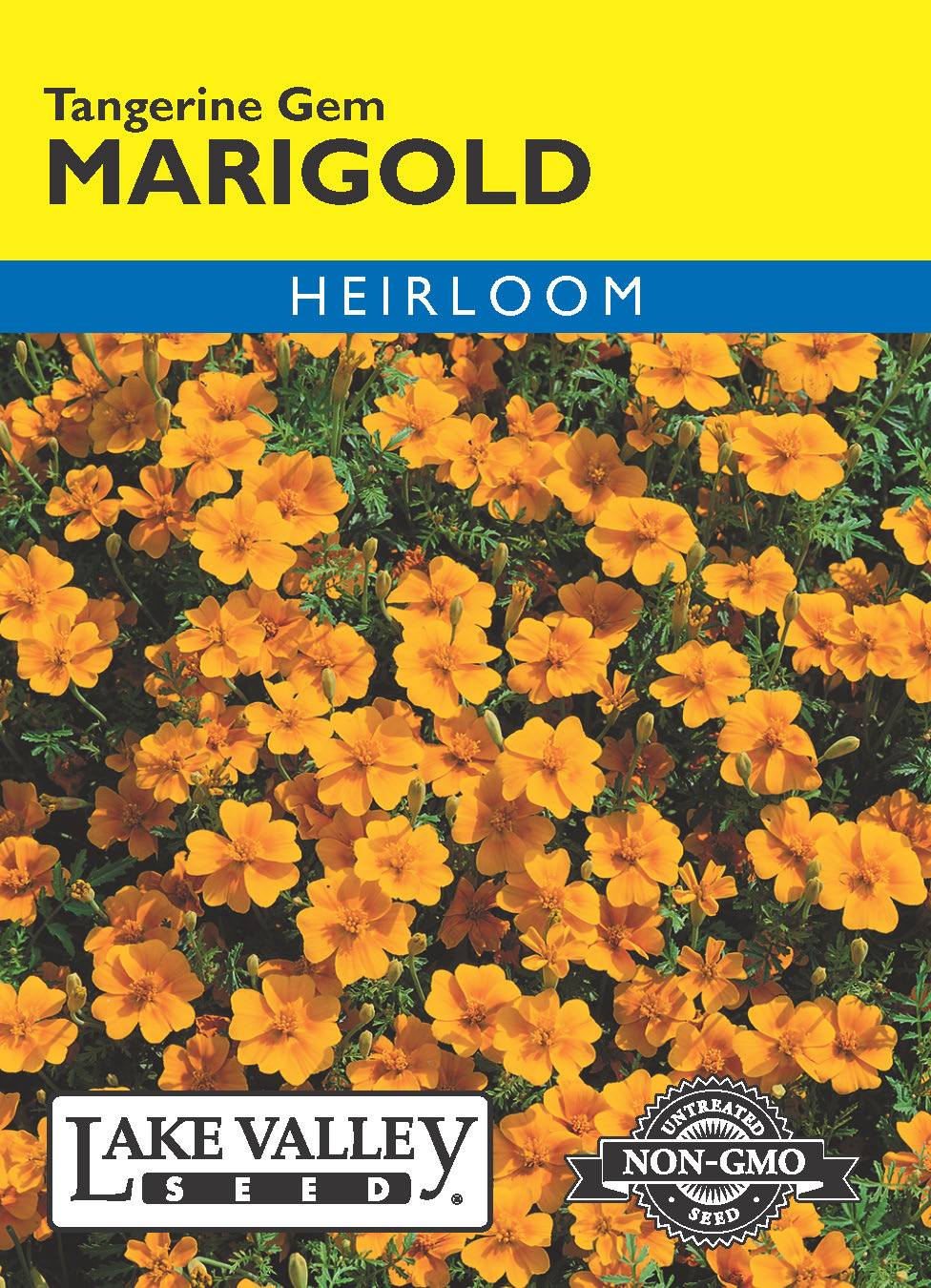 Marigold Tangerine Gem - Item #188