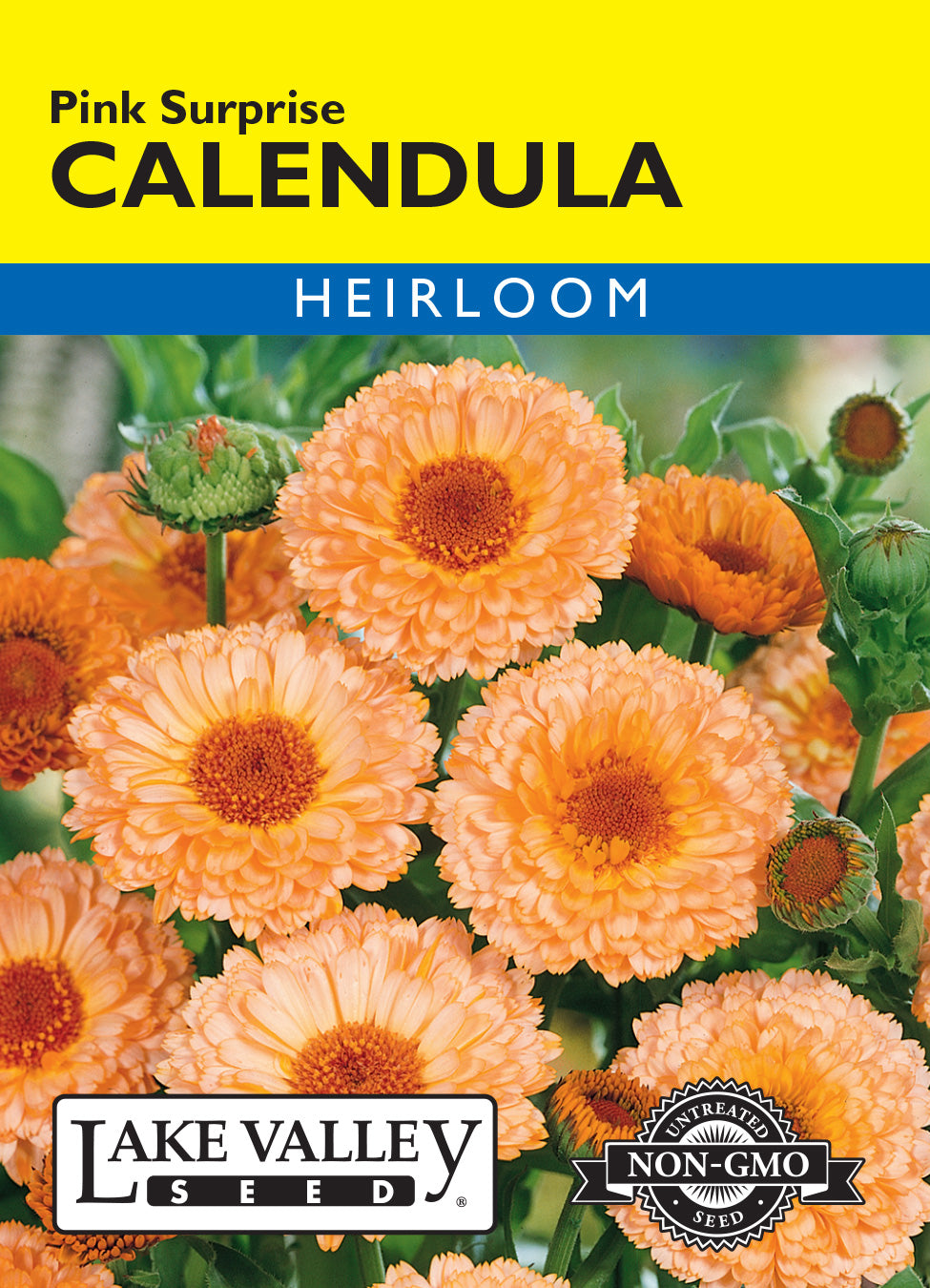 Calendula Pink Surprise - Item #1895