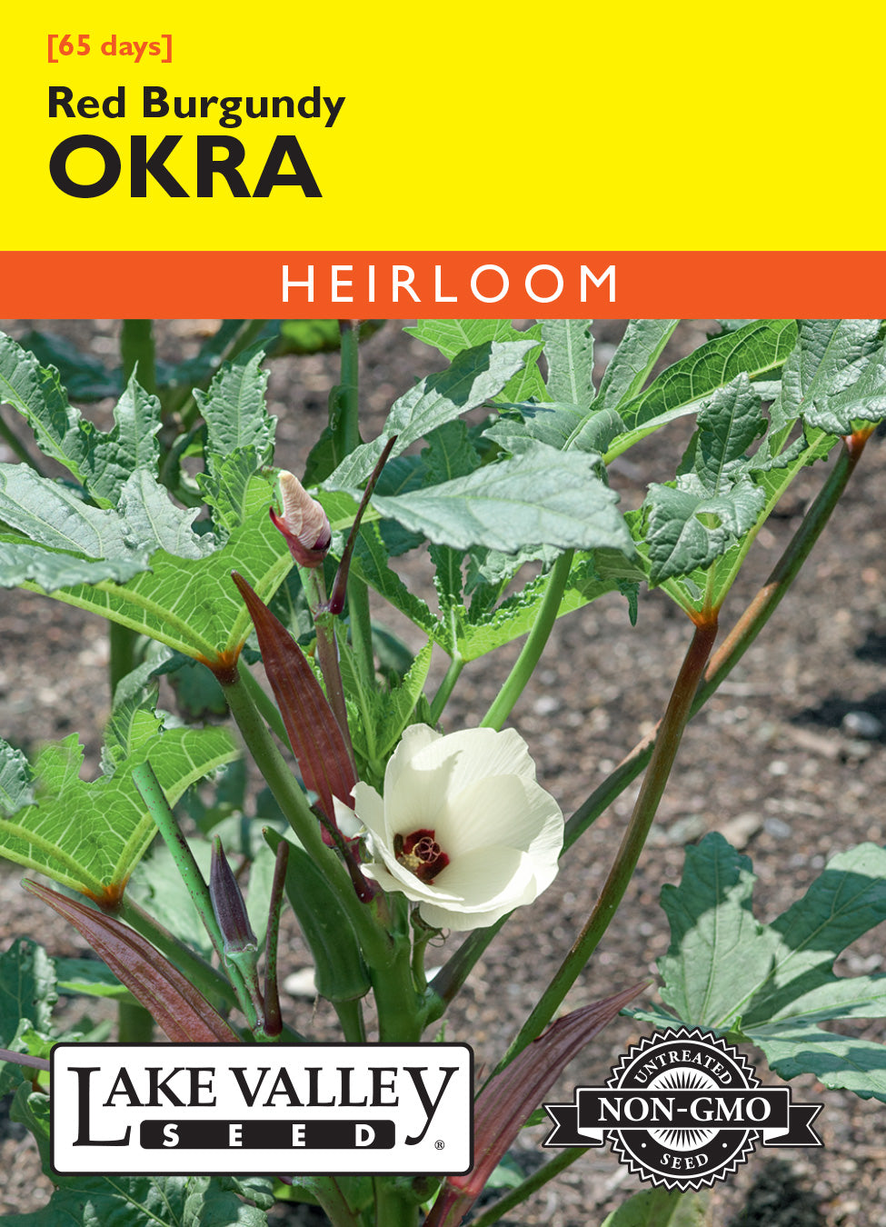 Okra Red Burgundy - Item #1898