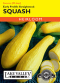 Squash (Summer) Early Prolific Straightneck - Item #1899