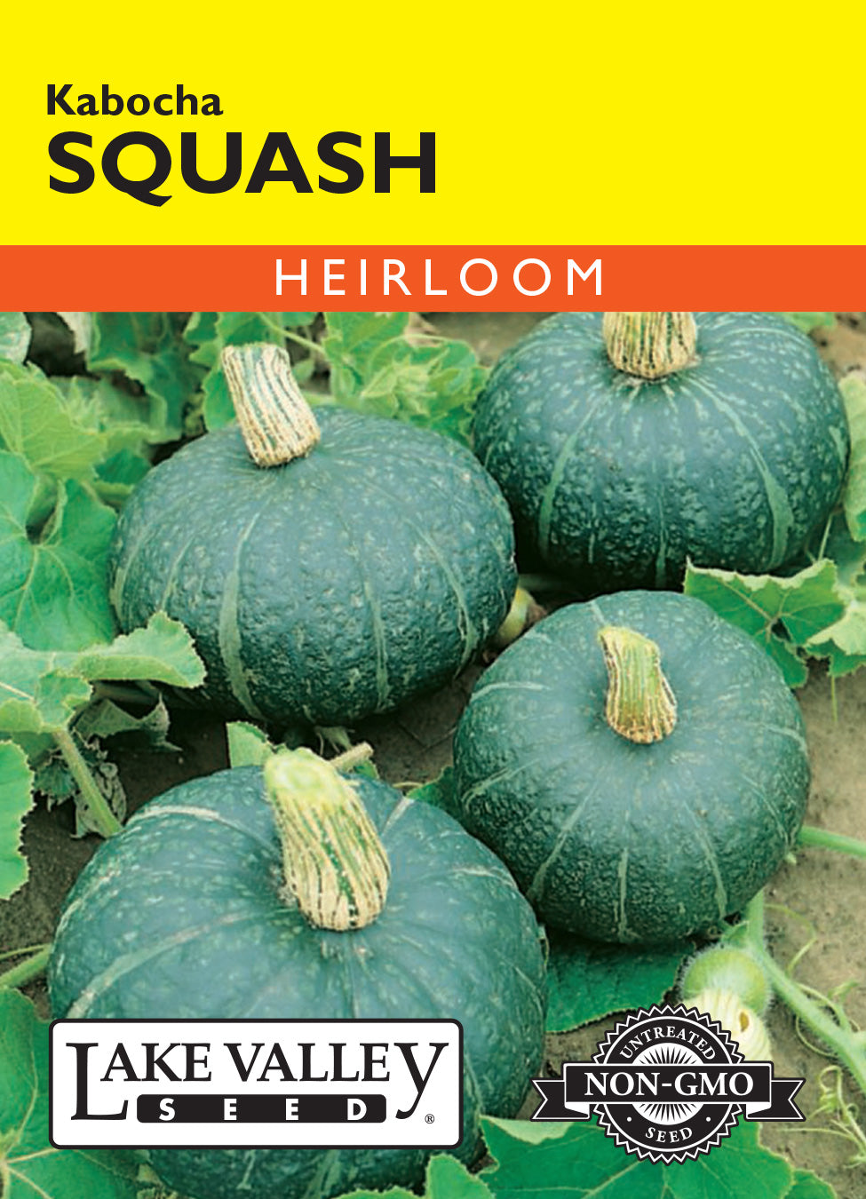 Squash (Winter) Kabocha - Item #1913