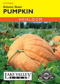 Pumpkin Atlantic Giant - Item #1929